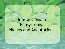 Interactions in Ecosystems: An Organisms Niche