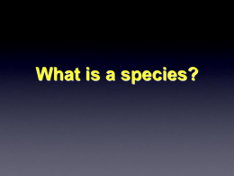 PPT_speciation.updated copy
