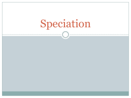 Speciation ppt speciation ppt