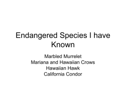 Endangered Species I have Known - School of Environmental and
