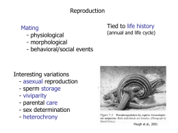Lecture 2 Reproduction