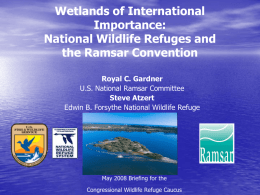 Federal Regulation of Wetlands