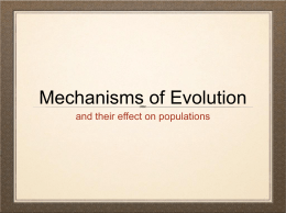 mechanisms