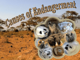 CAUSES OF ENDANGERMENT - species-in