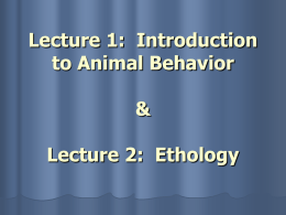 Lecture 1: Introduction to Animal Behavior