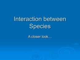 Interaction Among Species