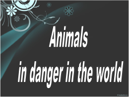 Animals in danger in the world - species-in