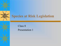 Species at Risk Legislation