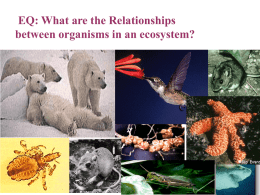Ecological Relationship Notes