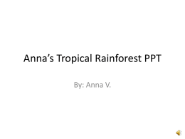 Anna`s Tropical Rainforest PPT