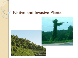 Native and Invasive Plants