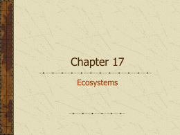 Chapter 17 - River Ridge