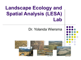 Landscape Ecology and Spatial Analysis (LESA) Lab