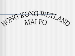 Hong Kong Wetland Mai Po