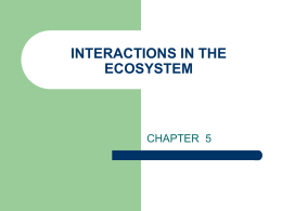 interactions in the ecosystem