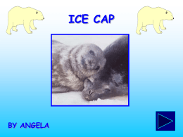 ICE CAP