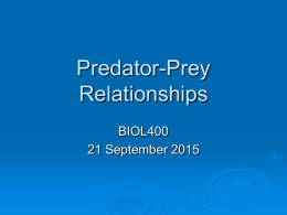 Predator-Prey Relationships