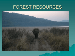 forest resources - Xavier Institute of Management