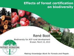Effects of forest certification on biodiversity