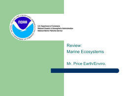 8th- Marine_ecosystems