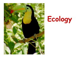 ecology presentation CHS