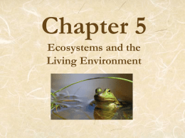 Chapter 5 Lecture 09-10