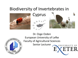 Biodiversity of Invertebrates in Cyprus