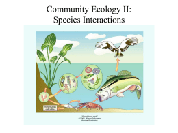 Community Ecology II: Competition & Predation