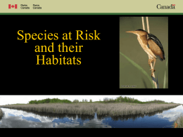 The Importance of Habitats for Species at Risk