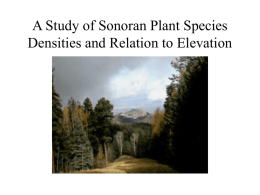 6.Sonoran Plant Species - University of New Mexico