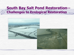 PowerPoint - South Bay Salt Pond Restoration Project