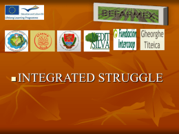 integrated struggle