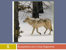 Chapter 5: Ecosystems & Living Organisms