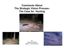Public March 7 2012 Riverside Strategic Vision - CAL