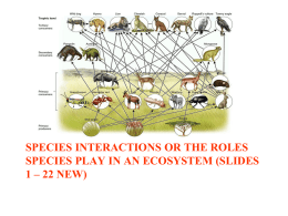 Keystone Species Concept