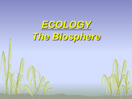 CB-Biosphere