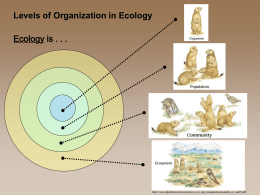 Levels of Organization in Ecology