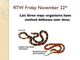 RTW Tuesday, November 19th
