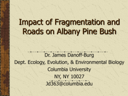 Impact of Fragmentation and Roads on Intact Pine Bush