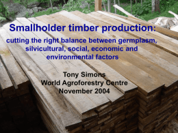 Smallholder timber production