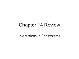 Chapter 14 Review