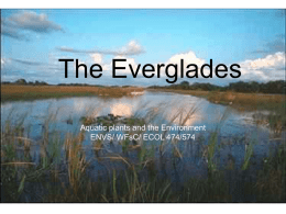 TheEverglades2015