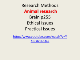 y animal research pp f