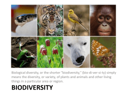 Biodiversity - Nature of thought