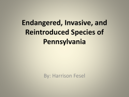 Endangered, Invasive, and Reintroduced Species