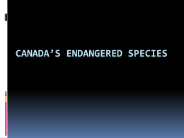 Canada`s Endangered Species