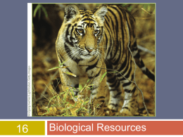 16, Biological Resources