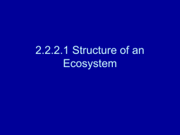 2.2.21 Structure of an Ecosystem ppt