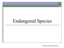 The Endangered Species Act—Protecting Marine Resources
