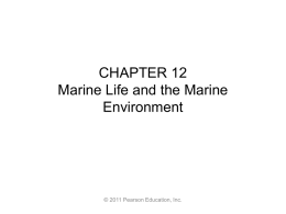 Marine Life and the Marine Environment
